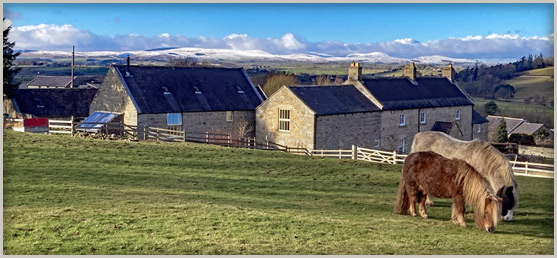 The Cheviot Hills - A stunning backdrop